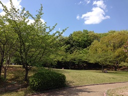 千里中央公園1.JPG